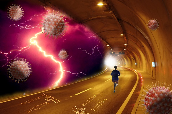 Collage dominik reisinger1