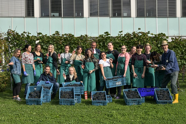 weinlese 2021 fotocredit julian pirker